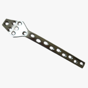 Orthopedic Plate