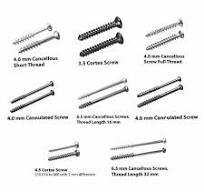 Orthopedic Screws